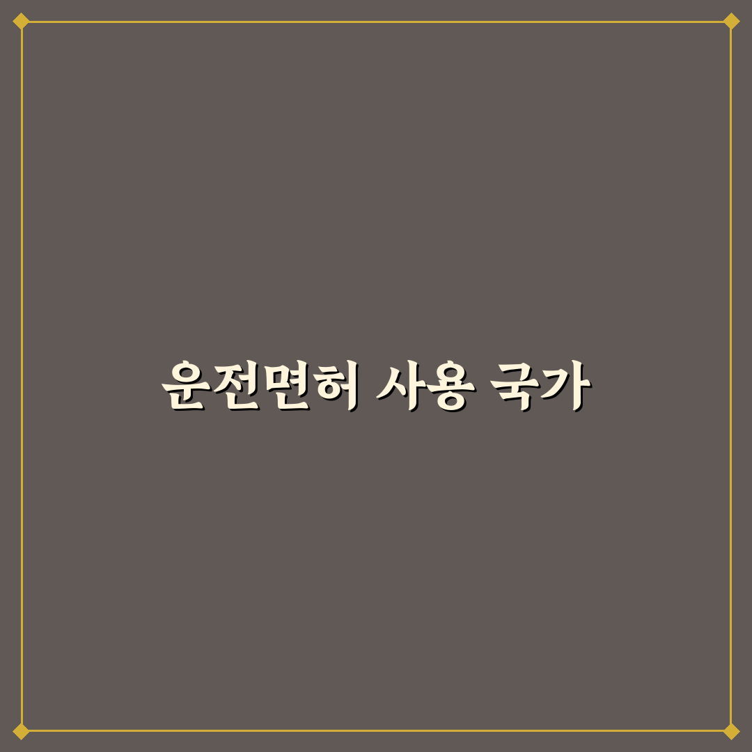 영문 운전면허증 사용 가능 국가 및 발급 전 꿀팁 공유