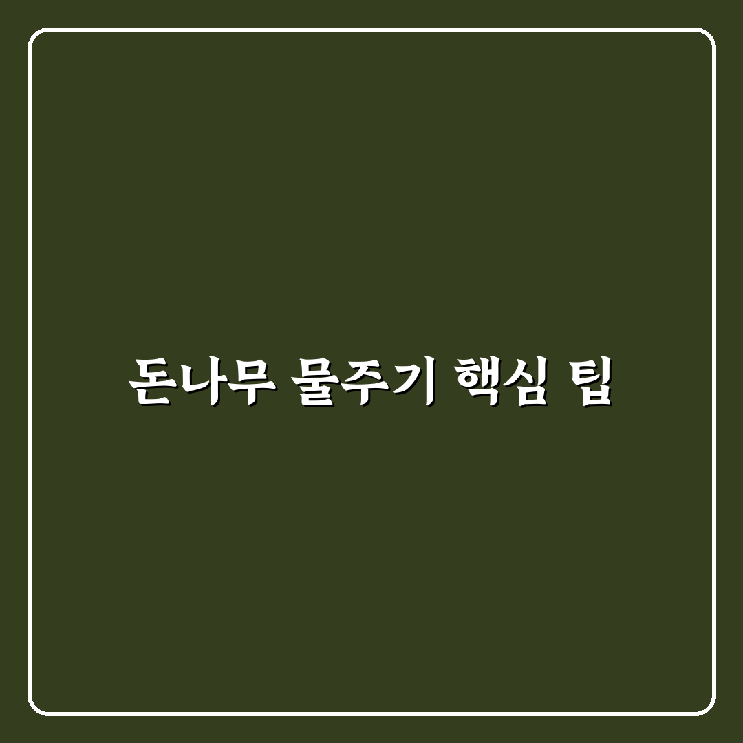 돈나무 물주기 방법과 꿀팁 초보자도 쉽게 배우기