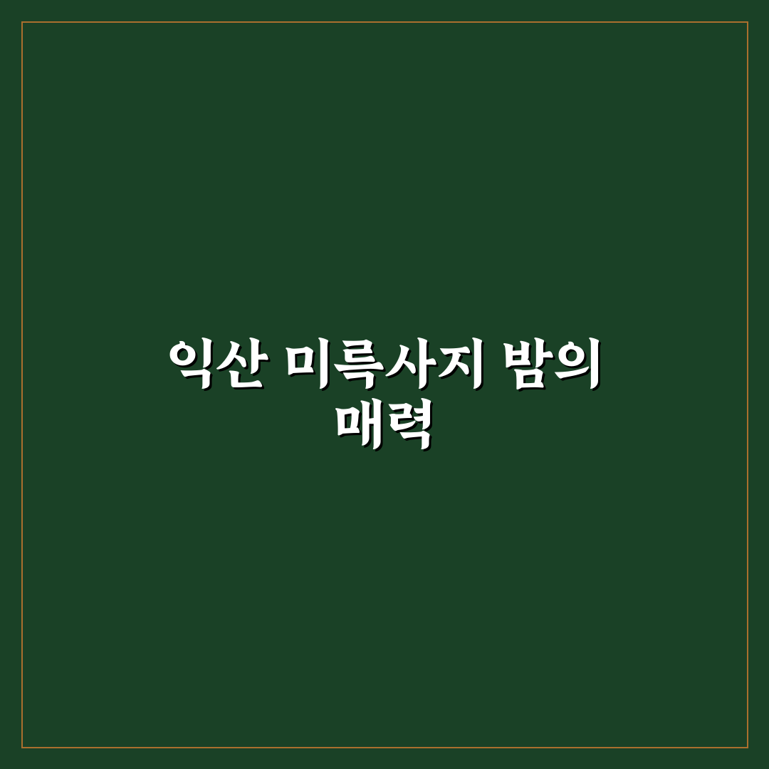 익산 미륵사지 야간 방문 꿀팁과 주요 볼거리 안내