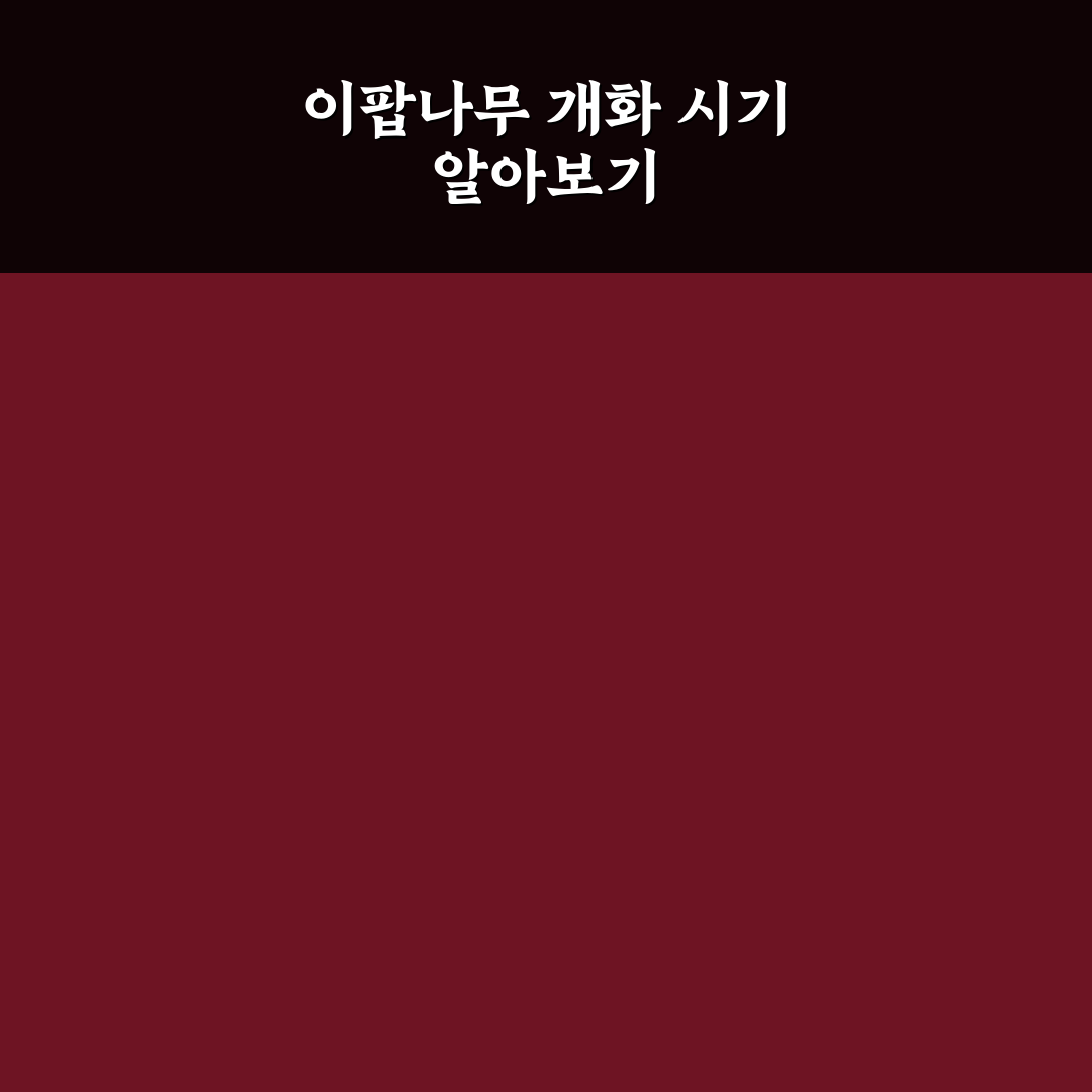 밀양 위양지 이팝나무 개화 시기와 사진 명소 5가지 기준 총정리