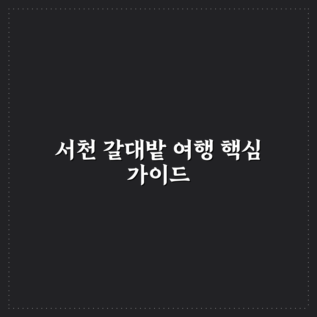 서천 신성리 갈대밭 당일 여행 코스와 사진 팁 5가지 가이드