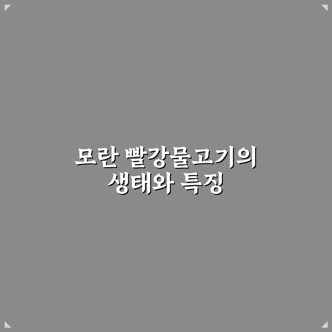 모란 빨강물고기 키우기 꿀팁과 관리 방법 정리
