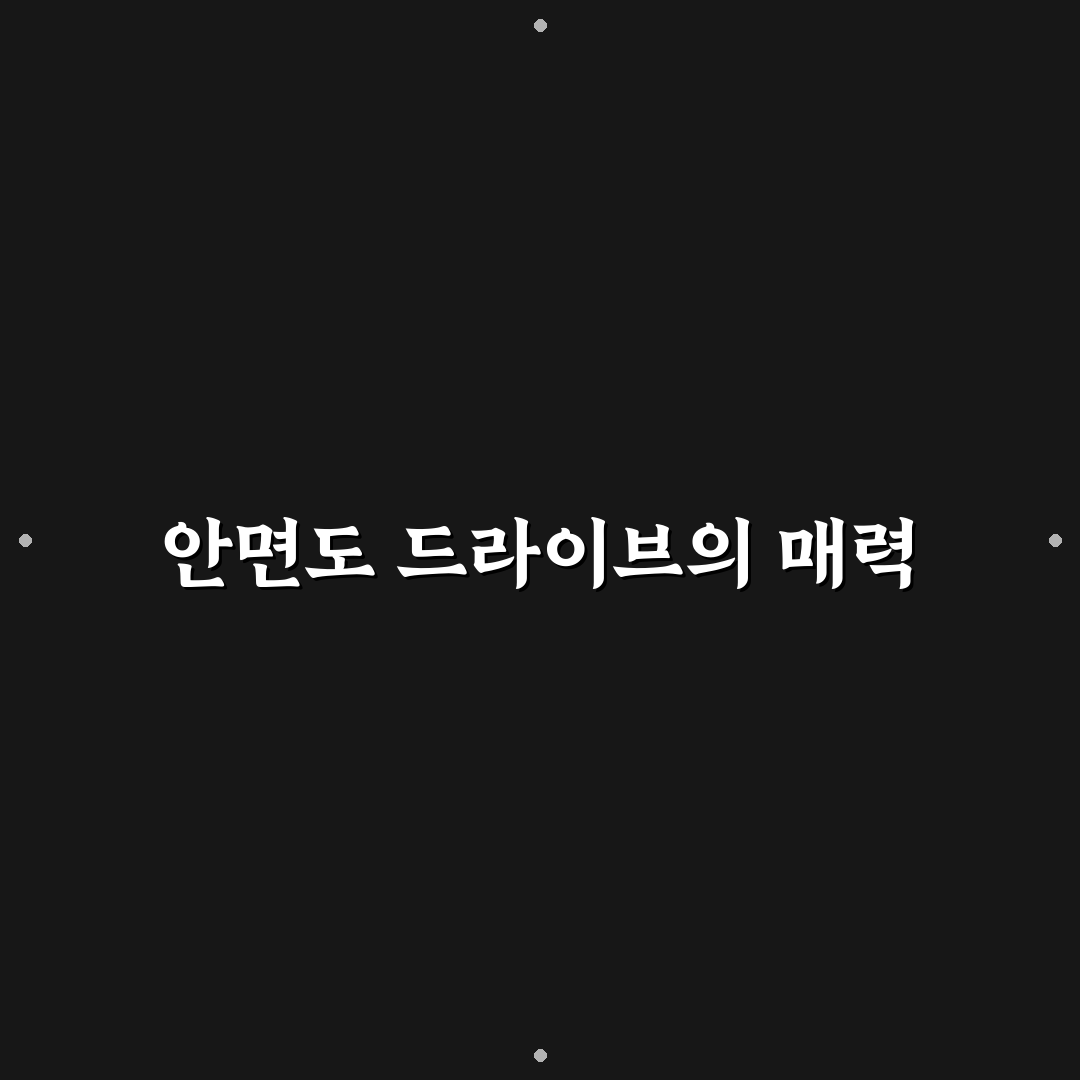 태안 안면도 당일 드라이브 코스와 바다 명소 추천 정리 꿀팁 안내