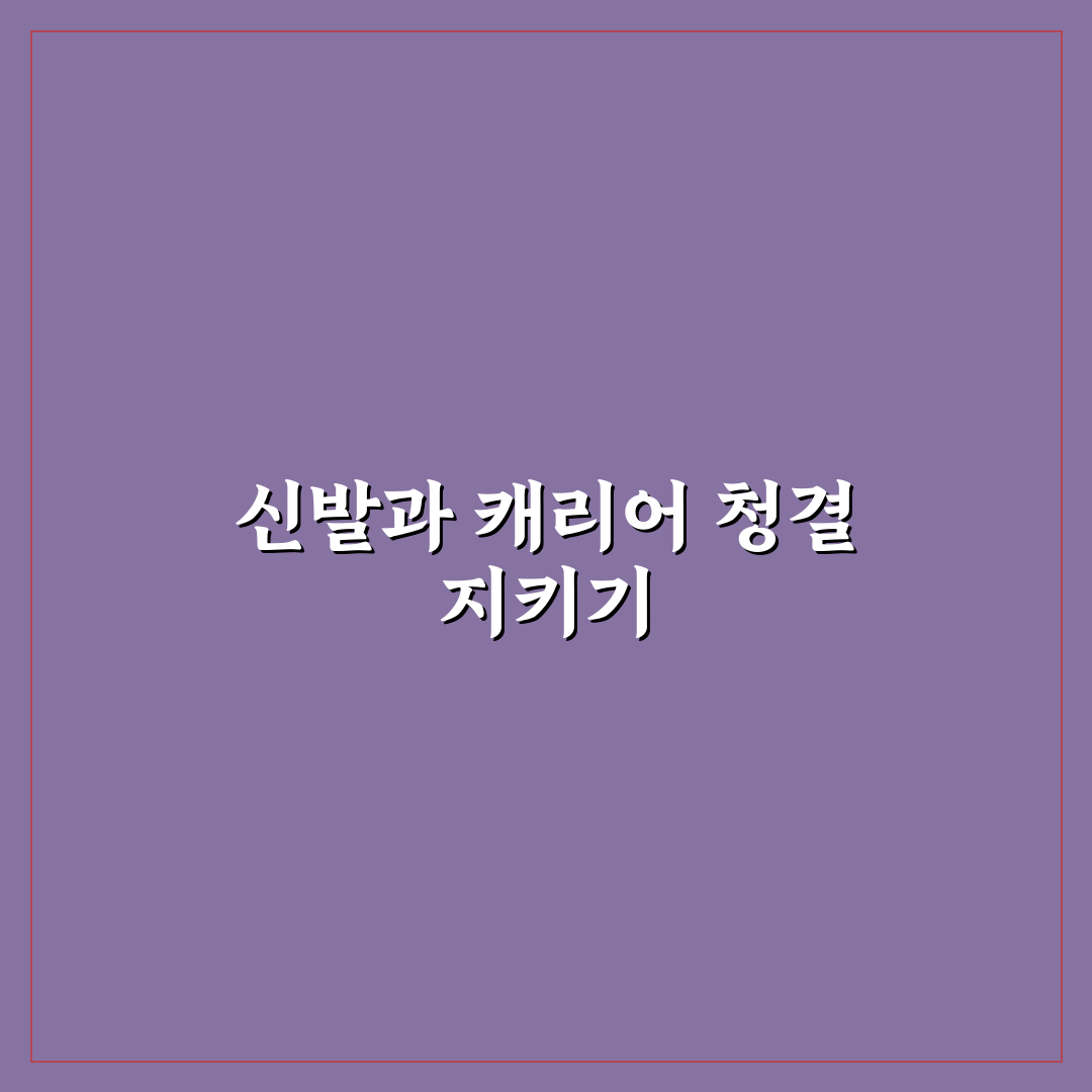 신발 주머니 추천과 캐리어 오염 줄이는 수납 꿀팁 정리