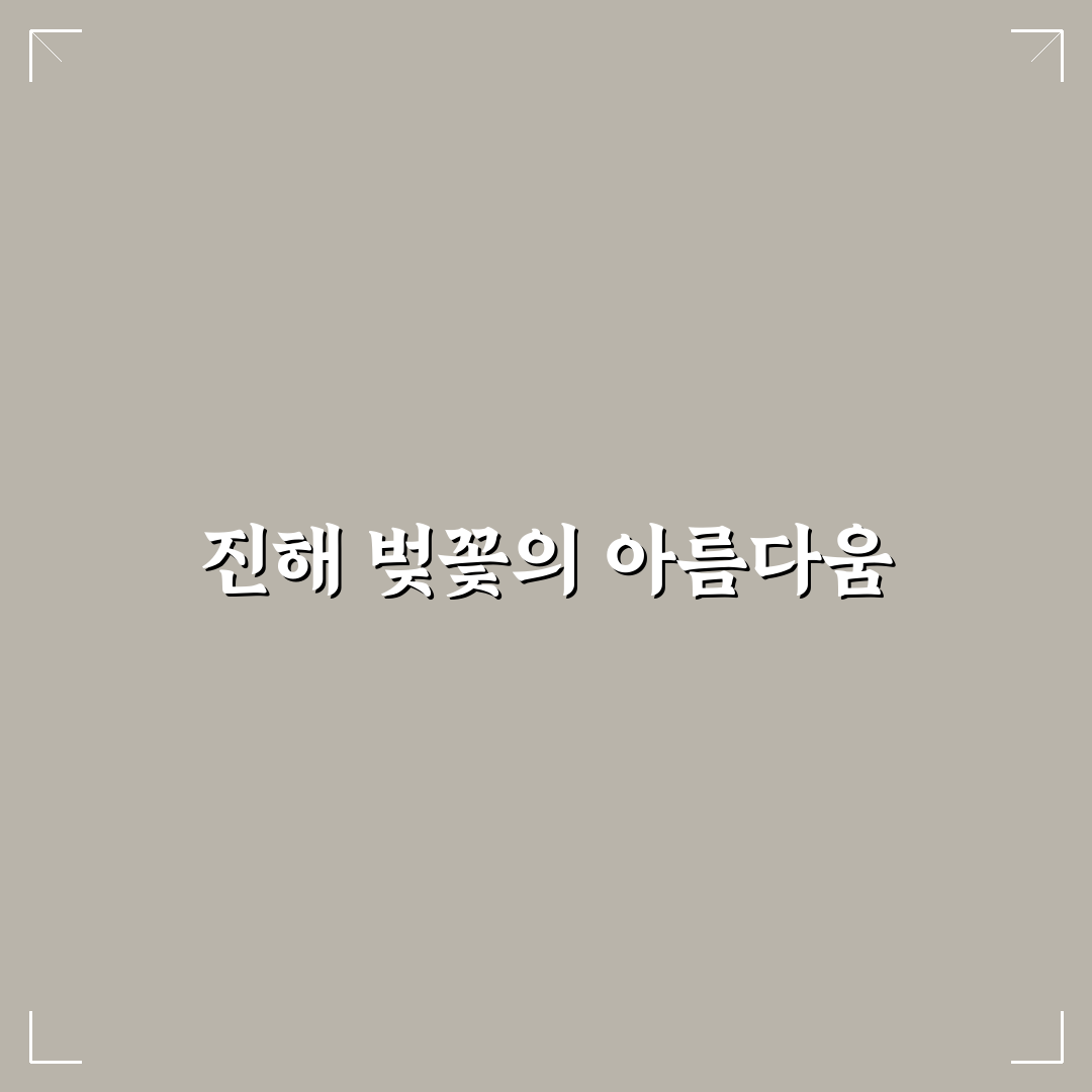 창원 진해 군항제 일정과 벚꽃 코스 추천 정리 꿀팁 공유