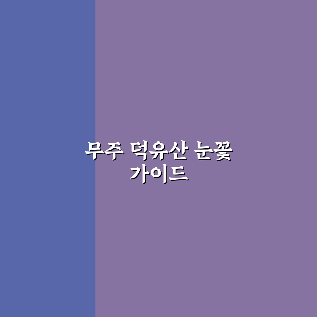 무주 덕유산 눈꽃여행 코스와 곤돌라 이용 꿀팁 정리