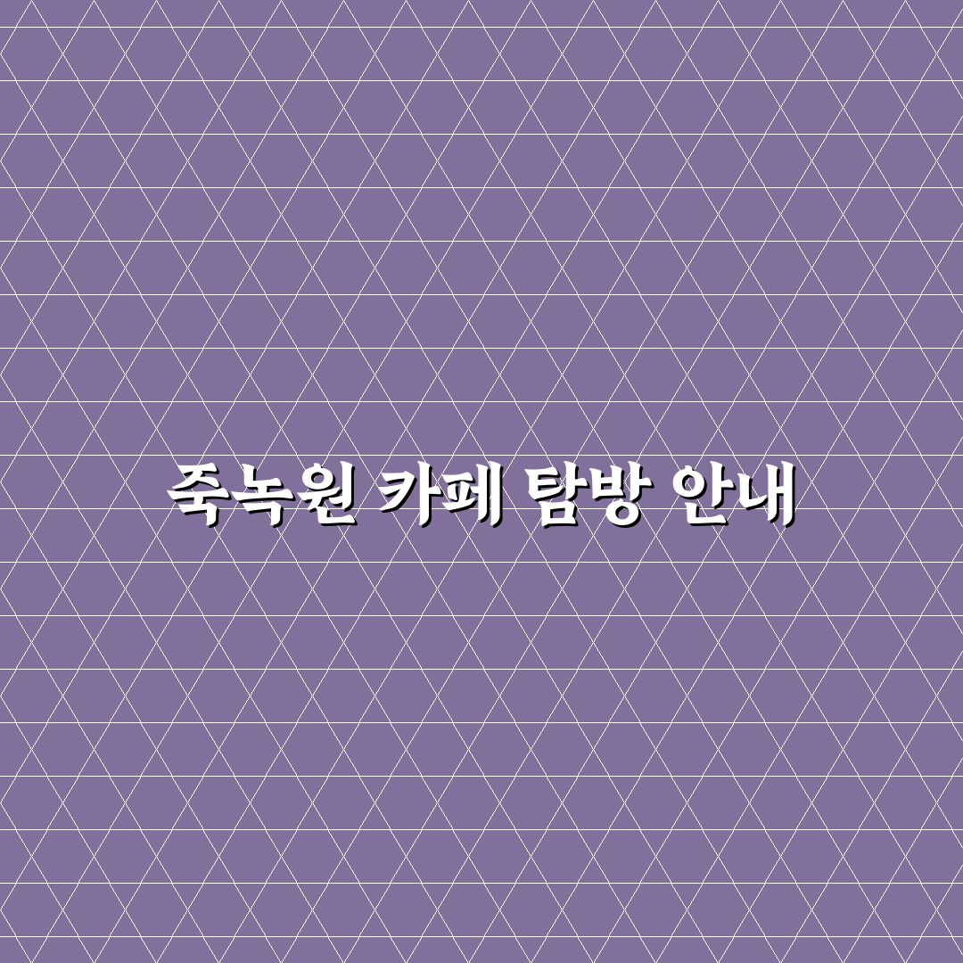담양 죽녹원 근처 카페와 함께 가기 좋은 코스 추천 꿀팁 공유