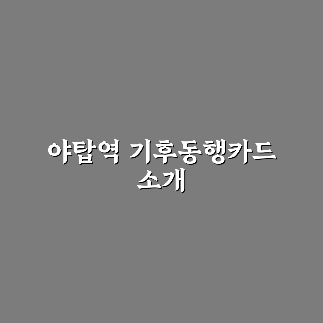 야탑역 기후동행카드 사용법과 꿀팁 알려드려요
