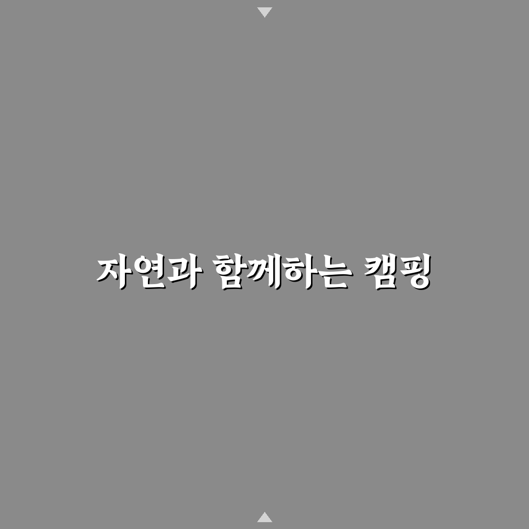 시흥 갯골생태공원 캠핑 분위기와 준비물 꿀팁 정리