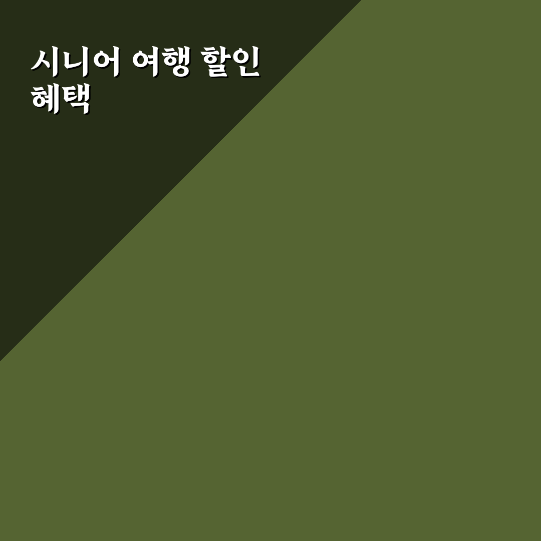 시니어 여행 혜택 정리와 할인 꿀팁 공유