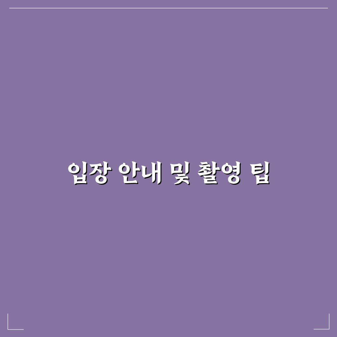 논산 선샤인스튜디오 입장 정보와 촬영 포인트 꿀팁 정리