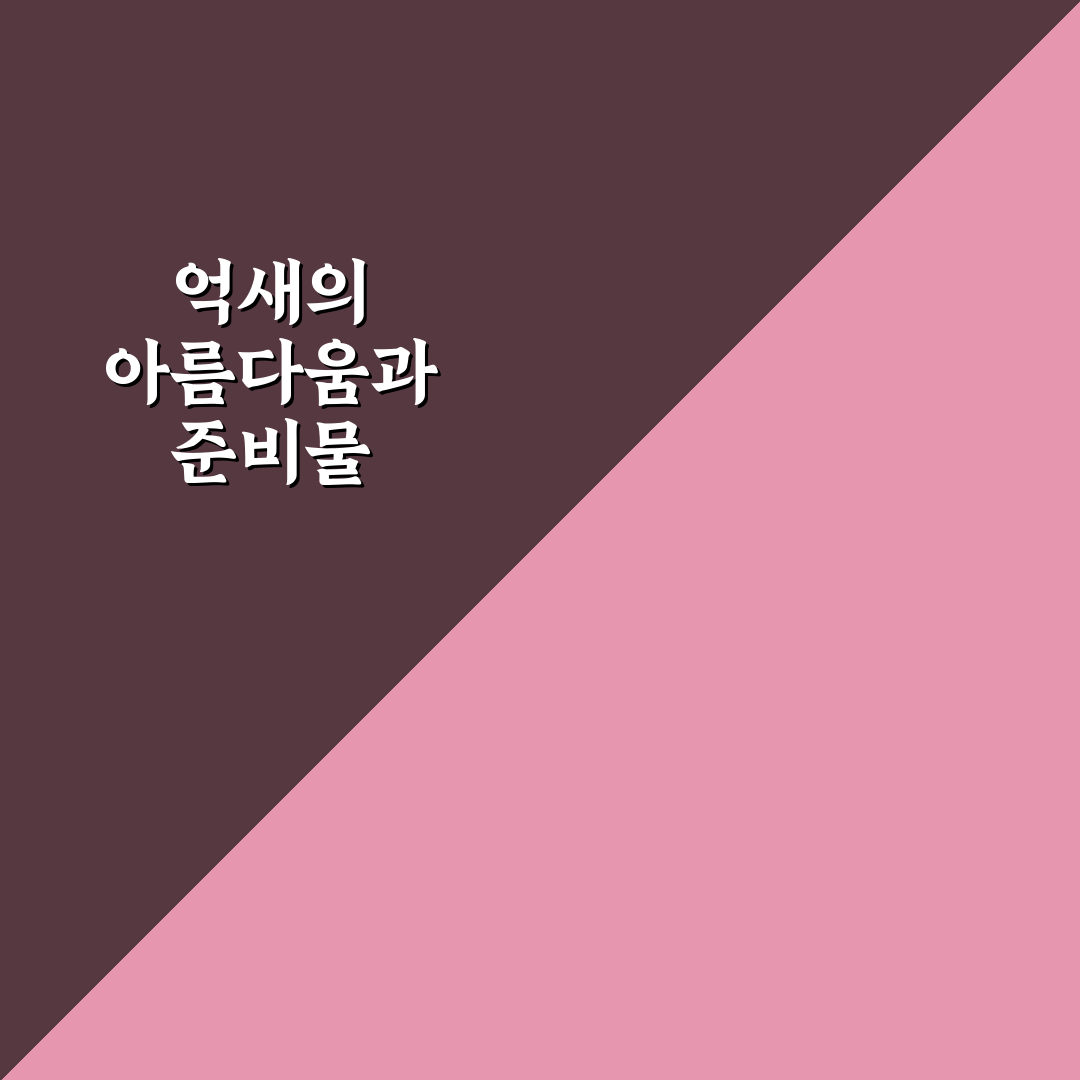 정선 민둥산 억새 산행 코스와 준비물 꿀팁 정리