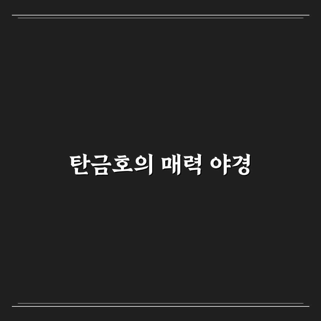 충주 탄금호 무지개길 야경 코스와 산책 명소 추천 정리 꿀팁 공유