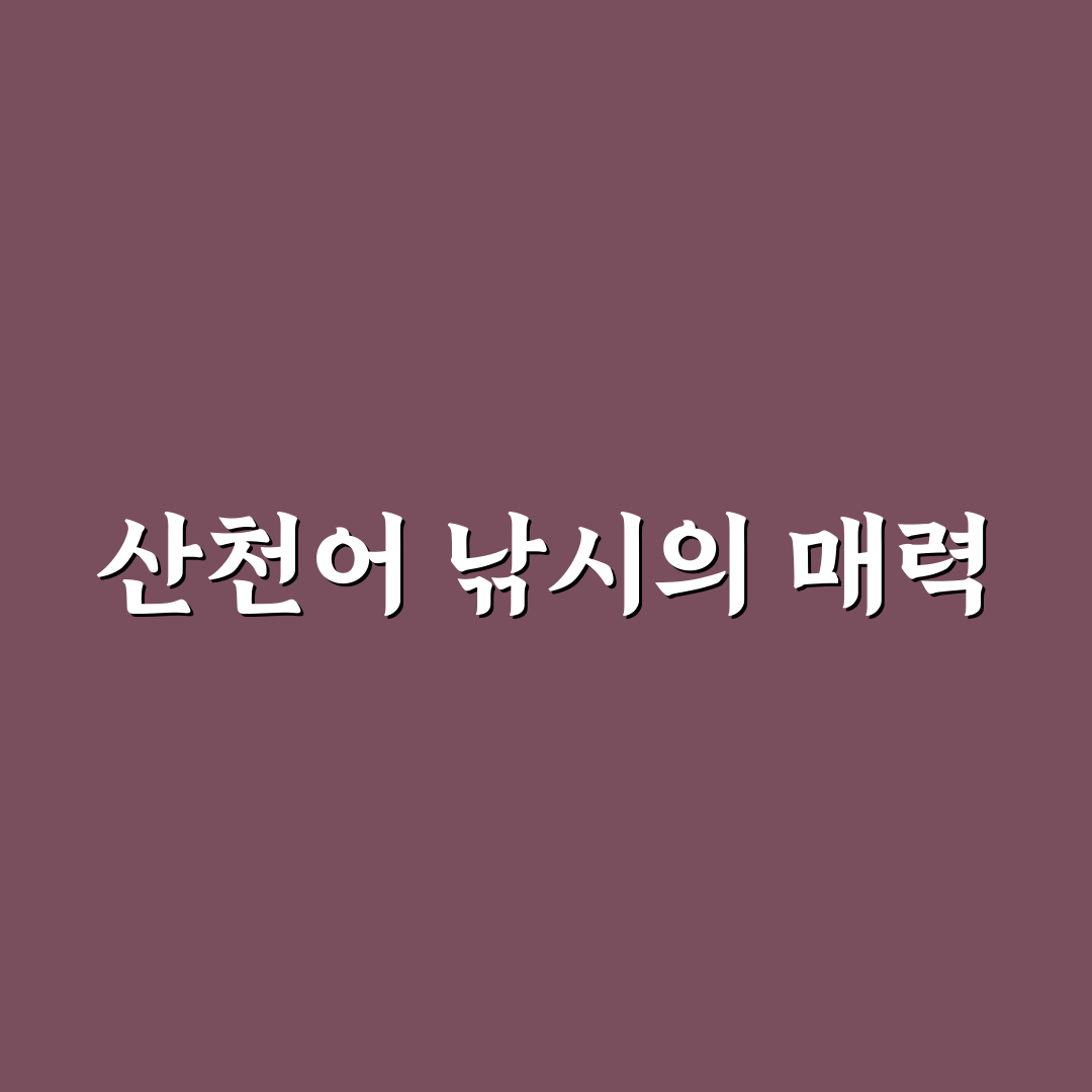 화천 산천어축제 낚시 체험과 예약 꿀팁 정리