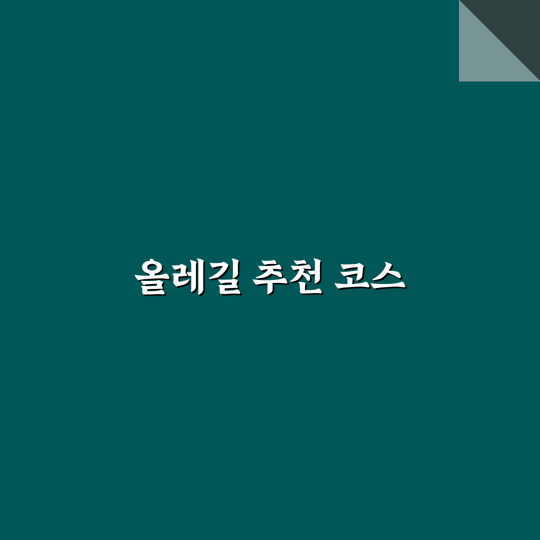 올레길 1박 2일 추천 구간과 제주 걷기 여행 꿀팁 공유