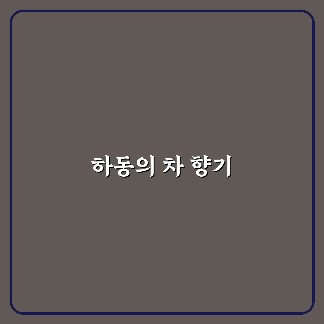 하동 매암제다원 차 한잔 코스와 감성 여행 꿀팁 정리