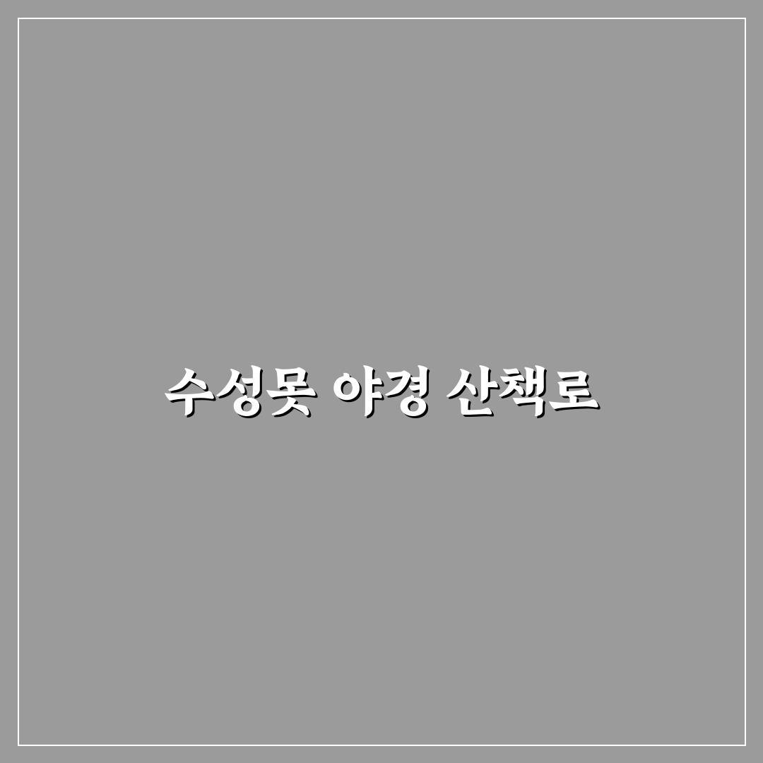 대구 수성못 야경 산책 코스와 데이트 팁 정리 꿀팁 공유