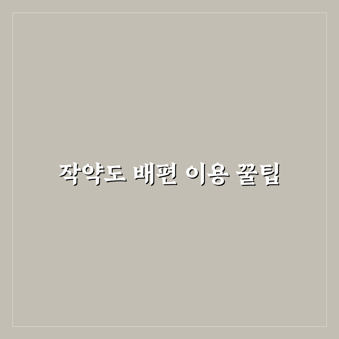 작약도 배편 이용 꿀팁과 준비 사항 정리