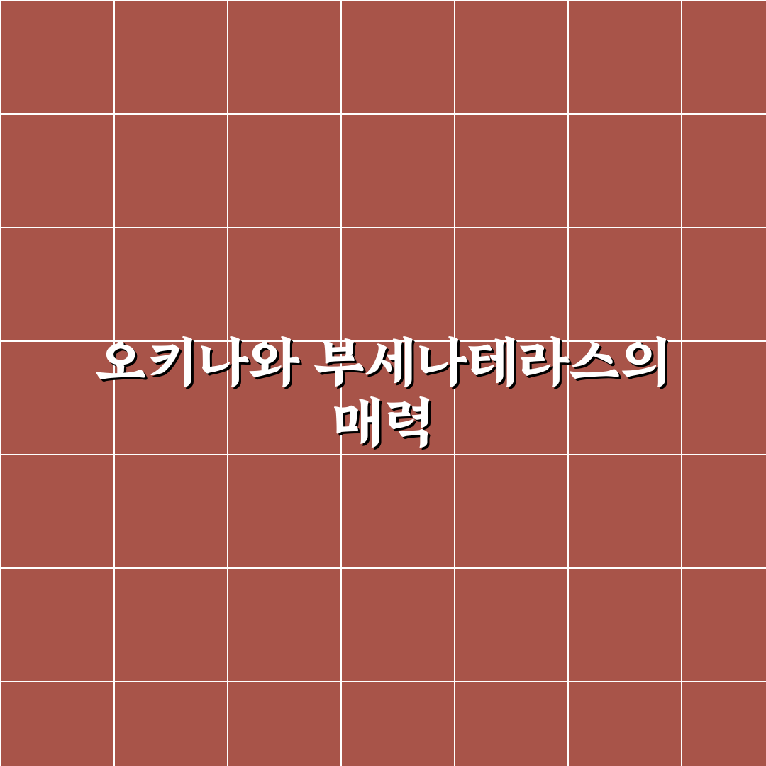 오키나와 부세나테라스 방문 전 알아두면 좋은 꿀팁