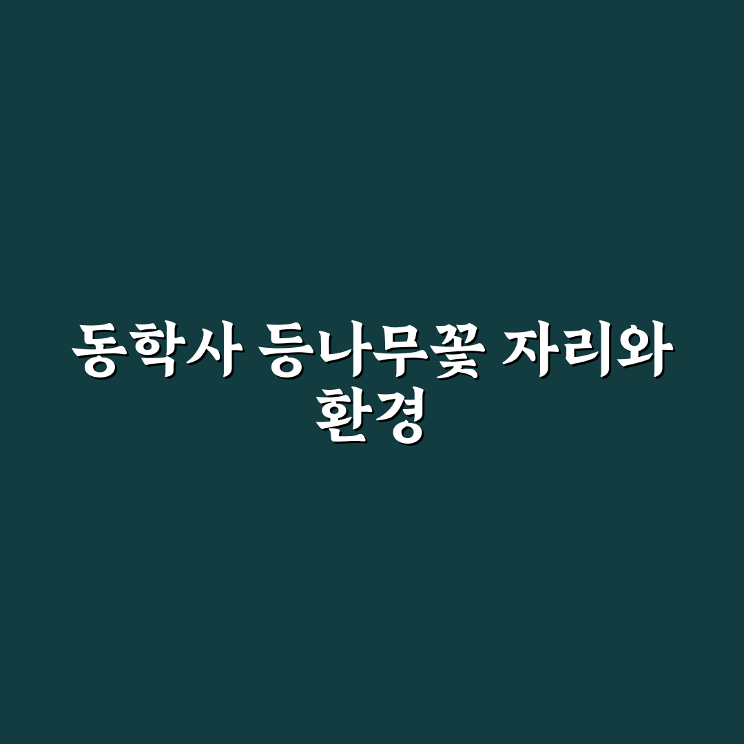 동학사 등나무꽃 위치와 방문 꿀팁 쉽게 알려드려요