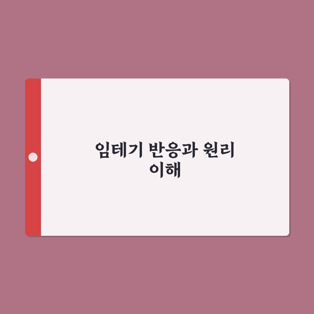 임테기 더블링 느림 문제 원인과 해결 팁 알려드려요