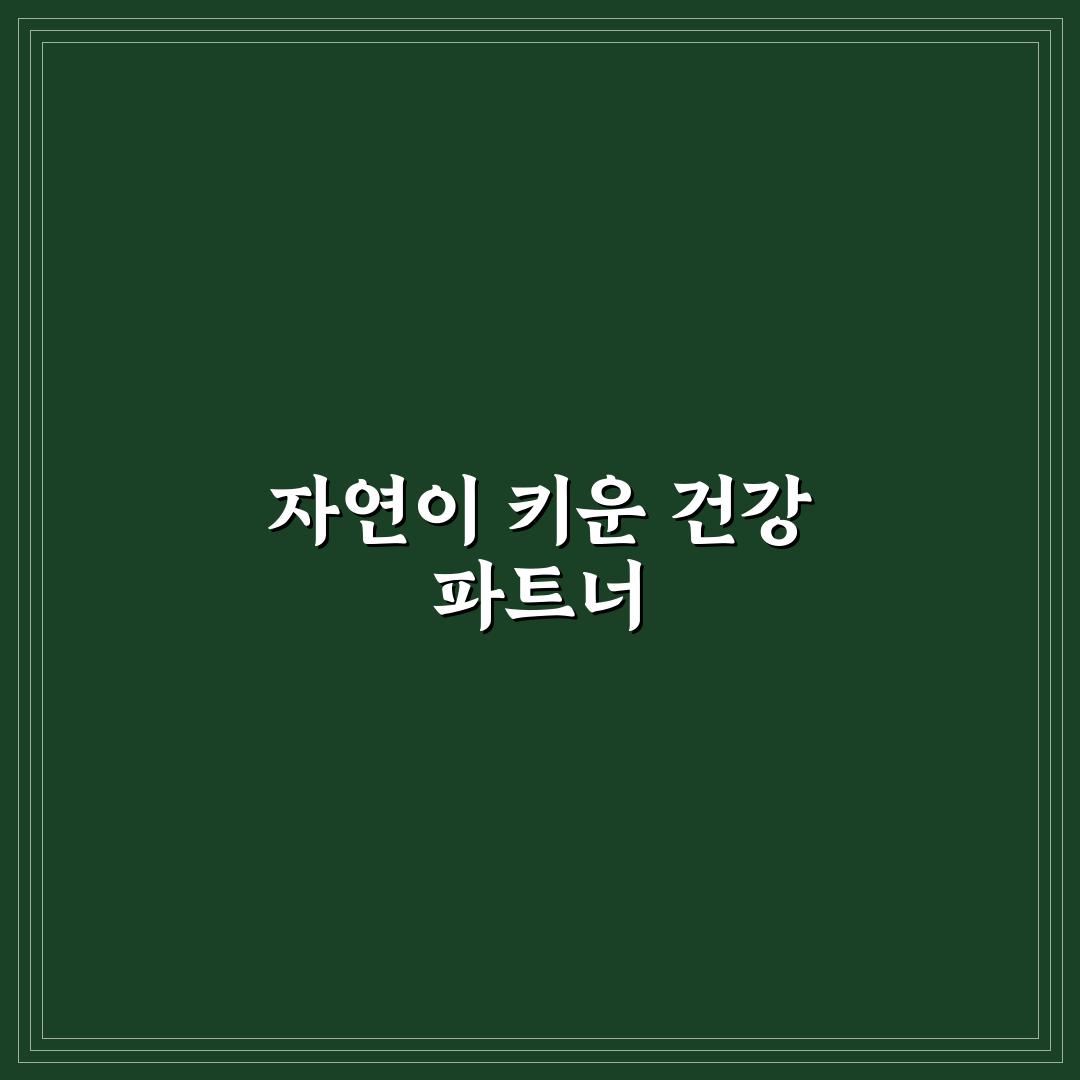 내츄럴 플러스 프로폴리스 1000 효과와 복용법 꿀팁 공유
