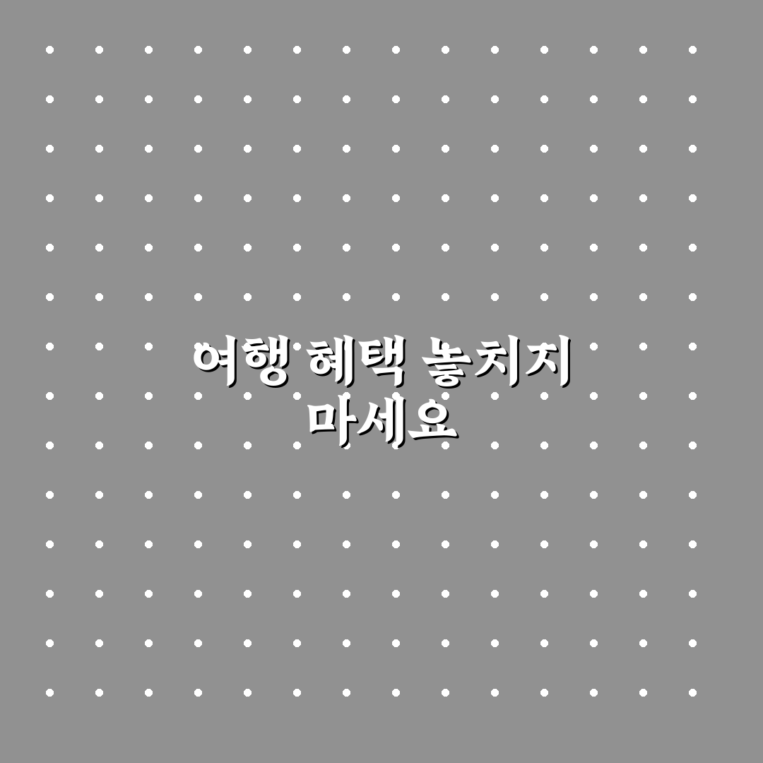 여행 영수증 적립하기와 카드 앱 혜택 꿀팁 정리