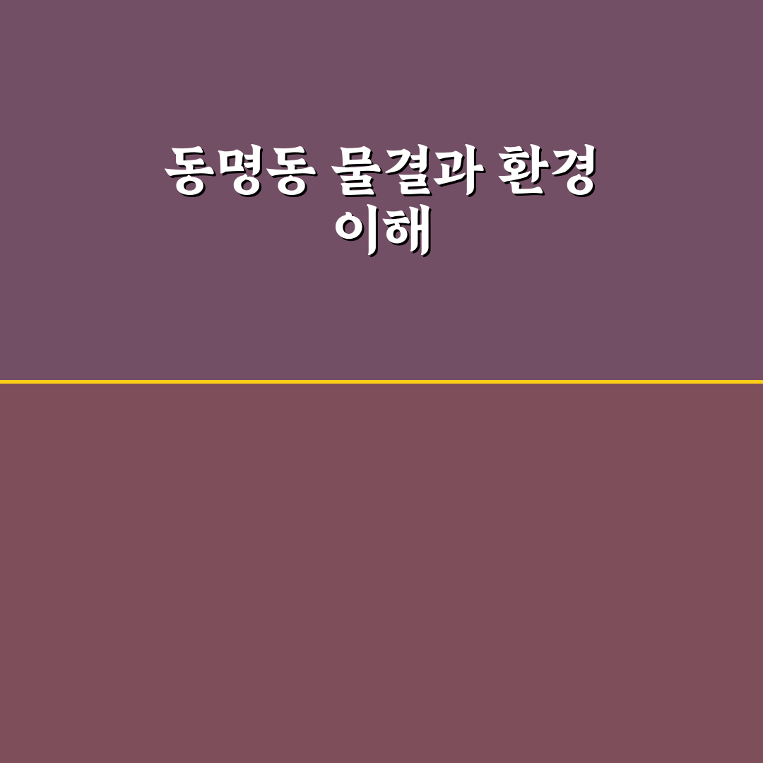 동명동 물결 이해와 활용 꿀팁 함께 정리