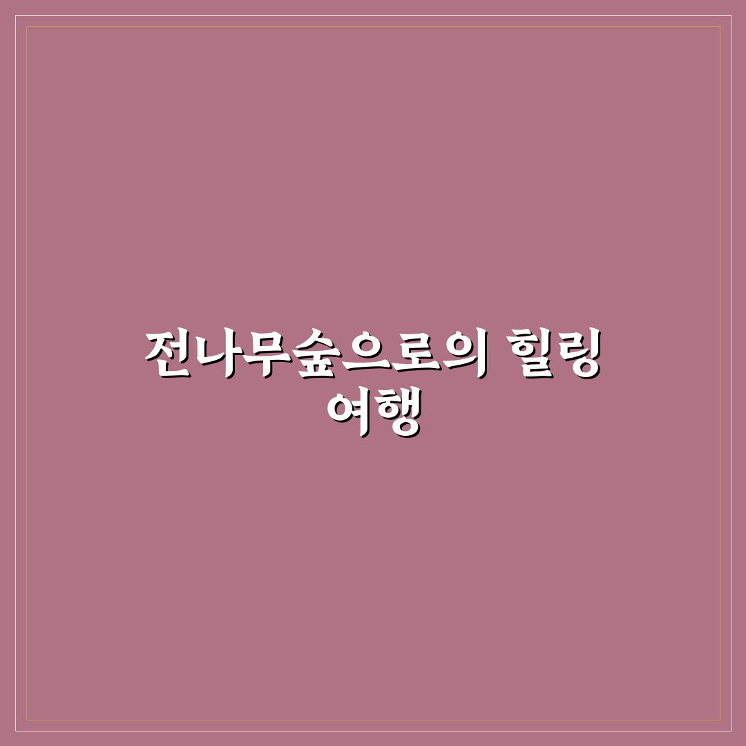 평창 월정사 전나무숲 당일 여행 코스와 산책 꿀팁 정리