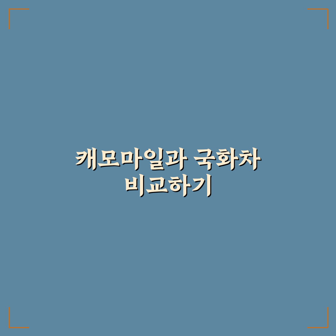 캐모마일 국화차 비교와 맛차이 추천 꿀팁 알려드려요