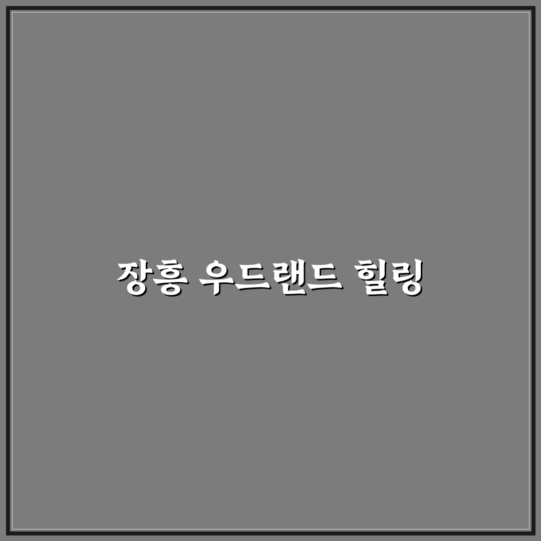 장흥 우드랜드 산림욕 코스와 힐링 당일 여행 추천 정리 꿀팁