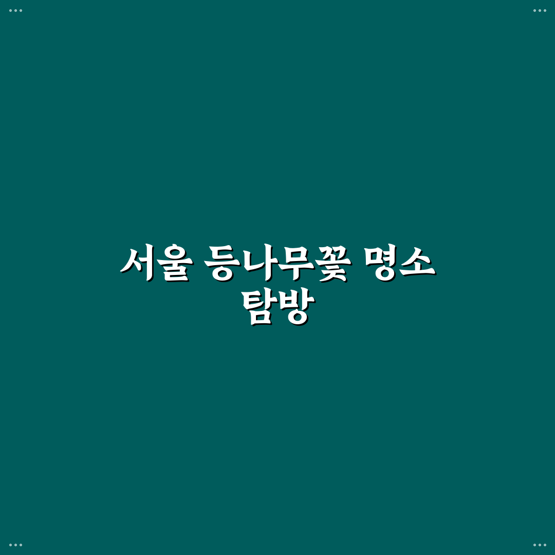 서울 등나무꽃 명소 추천과 방문 전 꿀팁 정리
