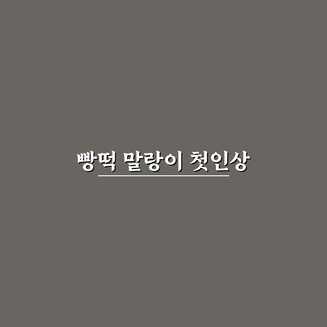 빵떡 말랑이 정품 사용 후기, 실제 써보니 어땠나