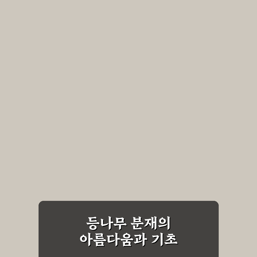 등나무 분재 키우기 꿀팁과 관리 방법 정리