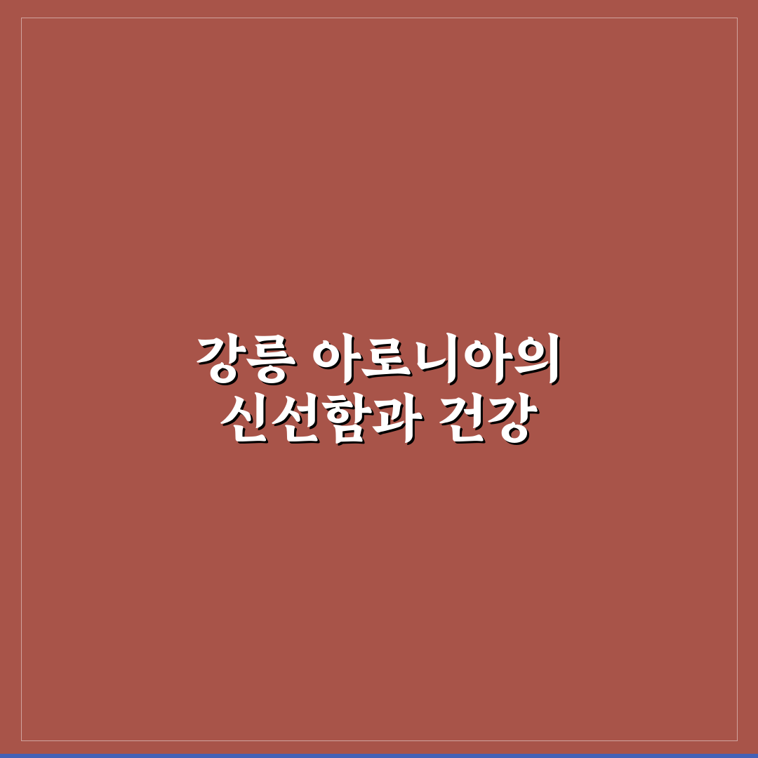 강릉 아로니아 물회 맛과 영양 비교 5가지 기준 분석