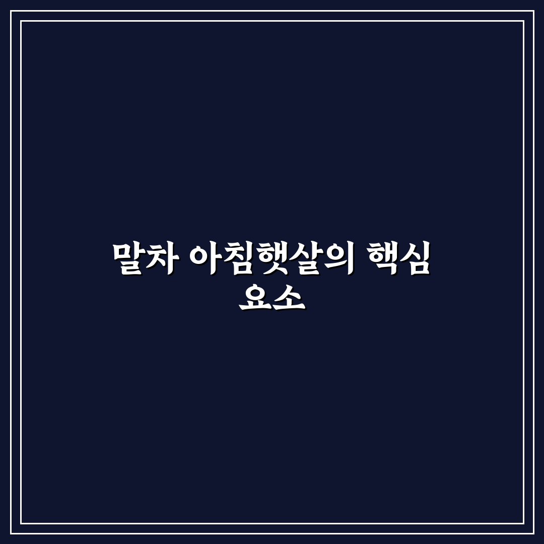 말차 아침햇살 비교와 분석을 통한 5가지 선택 기준