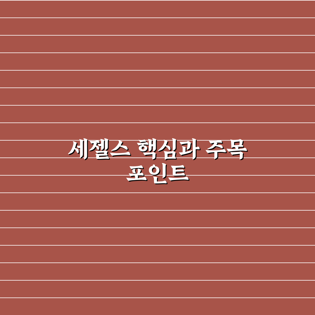 세젤스 비교와 5가지 체크포인트 총정리 분석 가이드