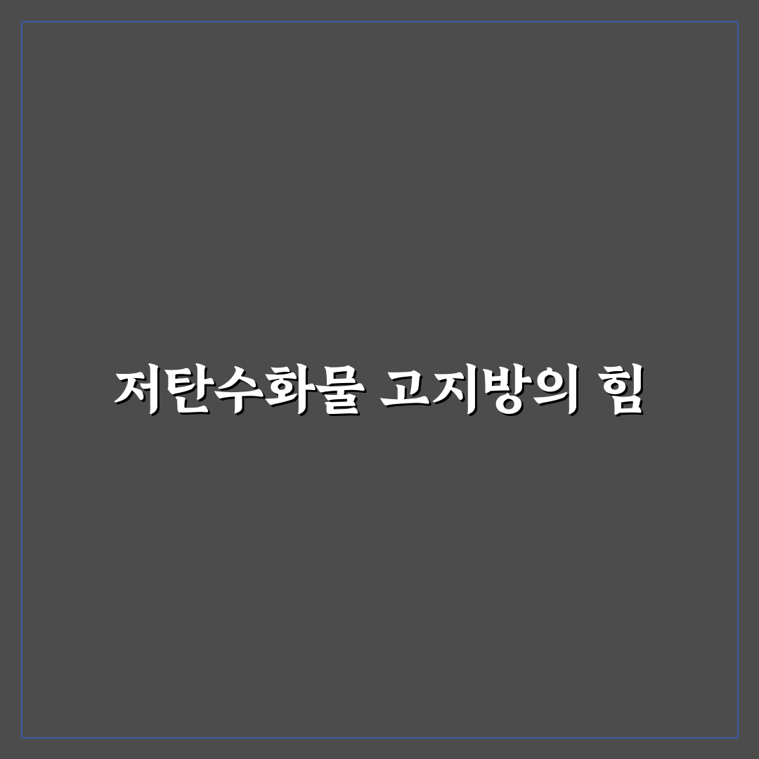 저탄고지 한달 식단표 비교와 체크포인트 총정리