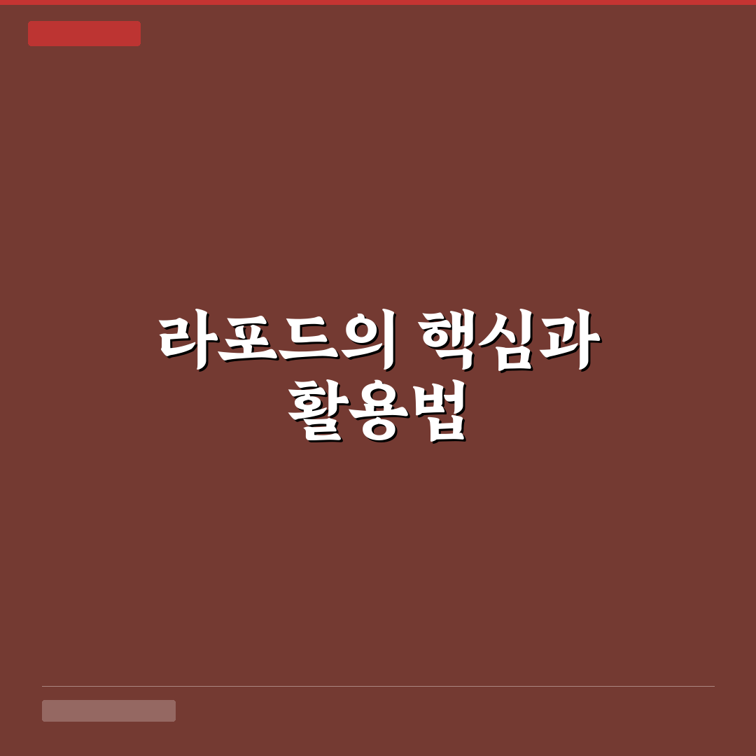 라포드 이해를 위한 5가지 핵심 기준 분석