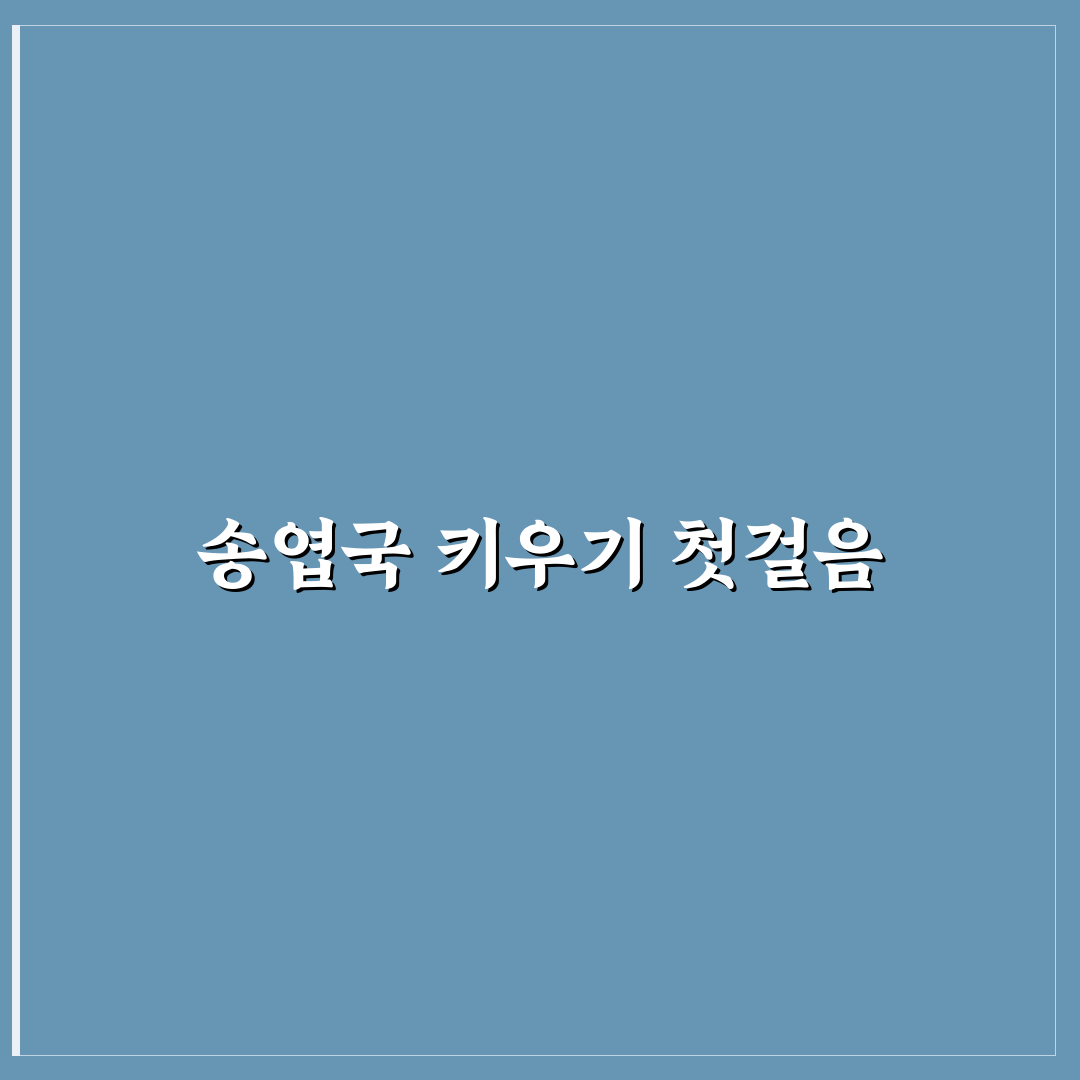 송엽국 키우기 5가지 체크포인트와 관리 기준 총정리