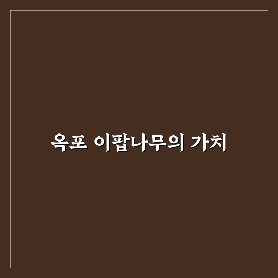 옥포 이팝나무 군락지 자연환경과 보호기준 총정리