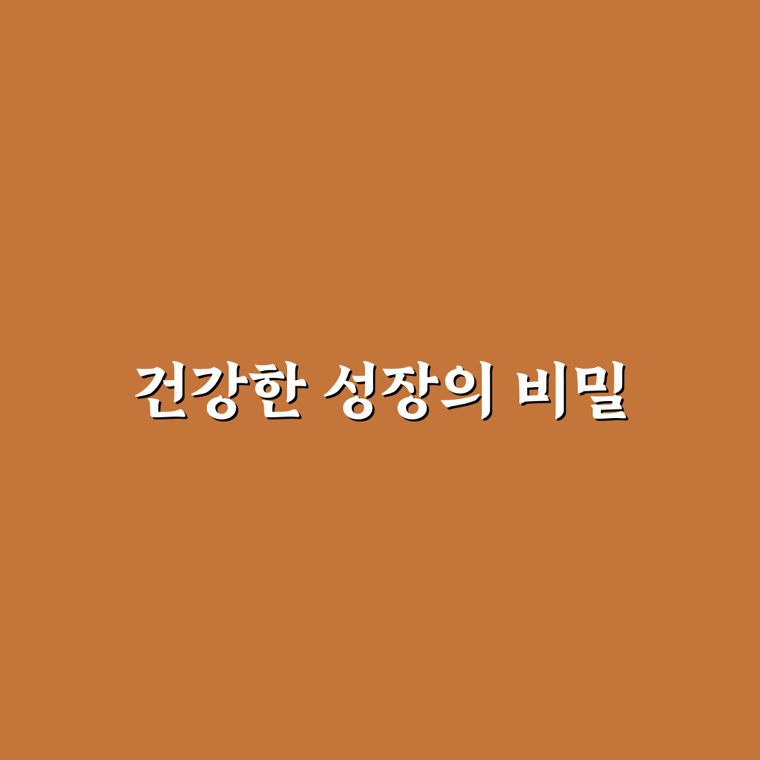 머랭고아이비 키우기 5가지 기준과 관리법 총정리