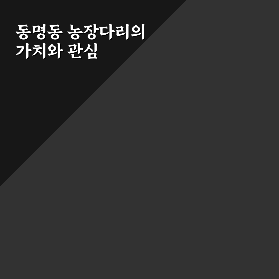 동명동 농장다리 비교 분석과 이용 시 체크포인트 총정리