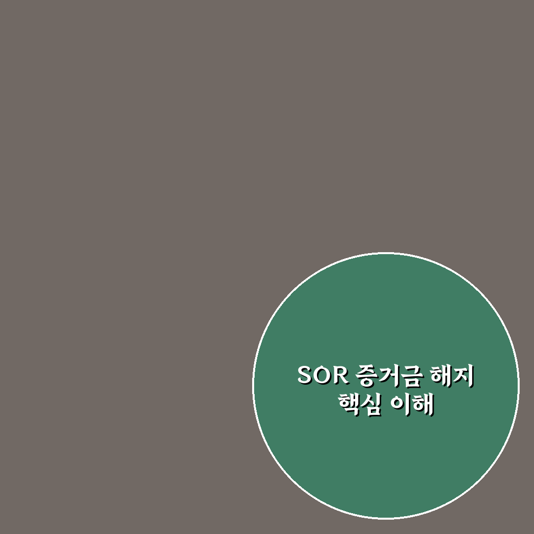 sor증거금해지 조건과 절차 비교 분석 가이드