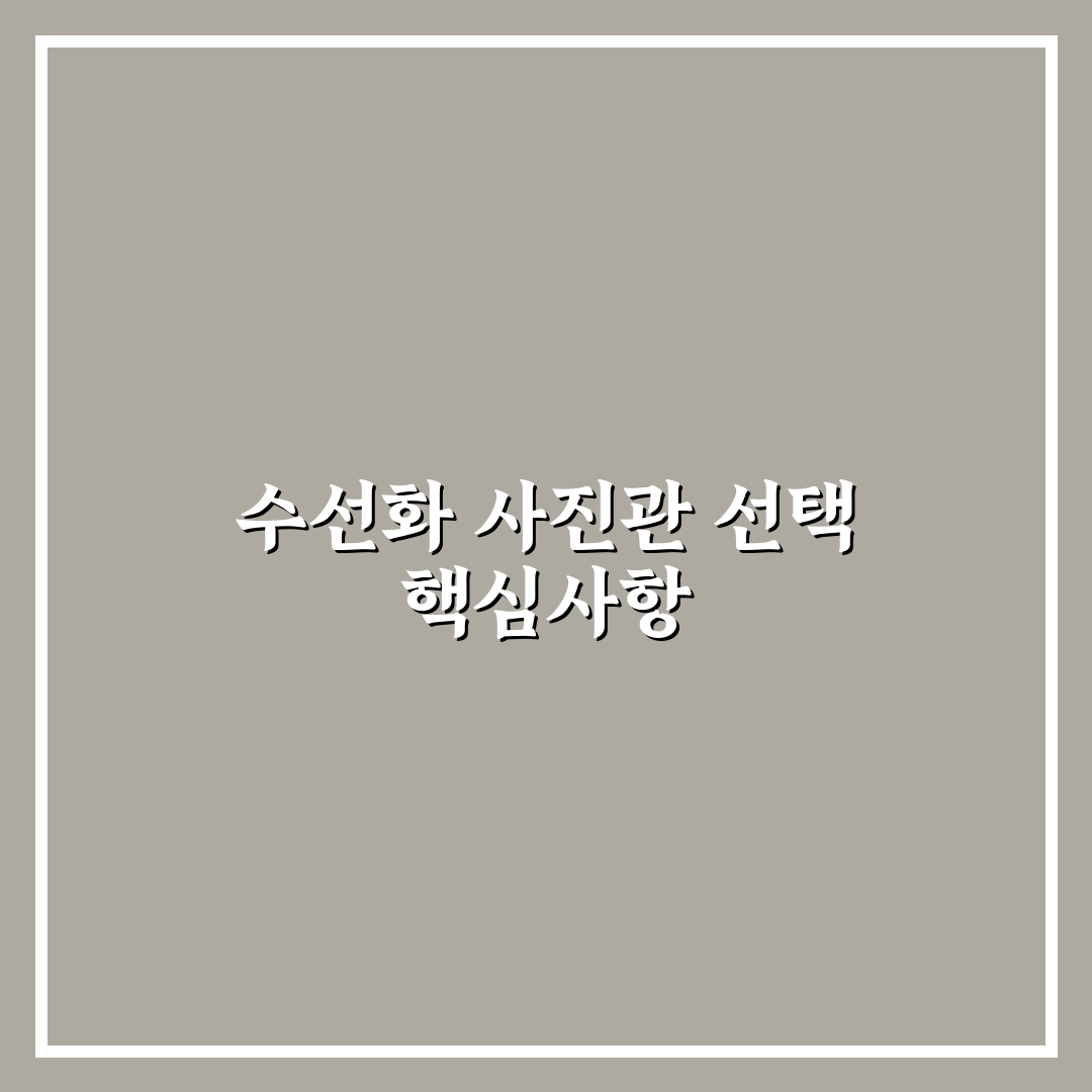 수선화 사진관 선택 5가지 기준 비교와 분석 가이드