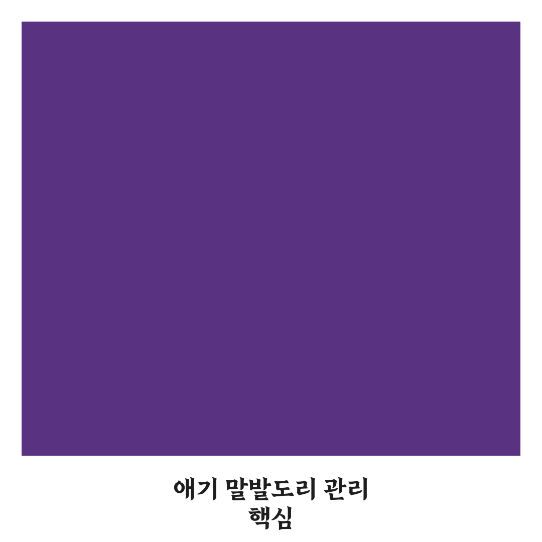 애기 말발도리 키우기 꿀팁 초보자도 쉽게 이해하기