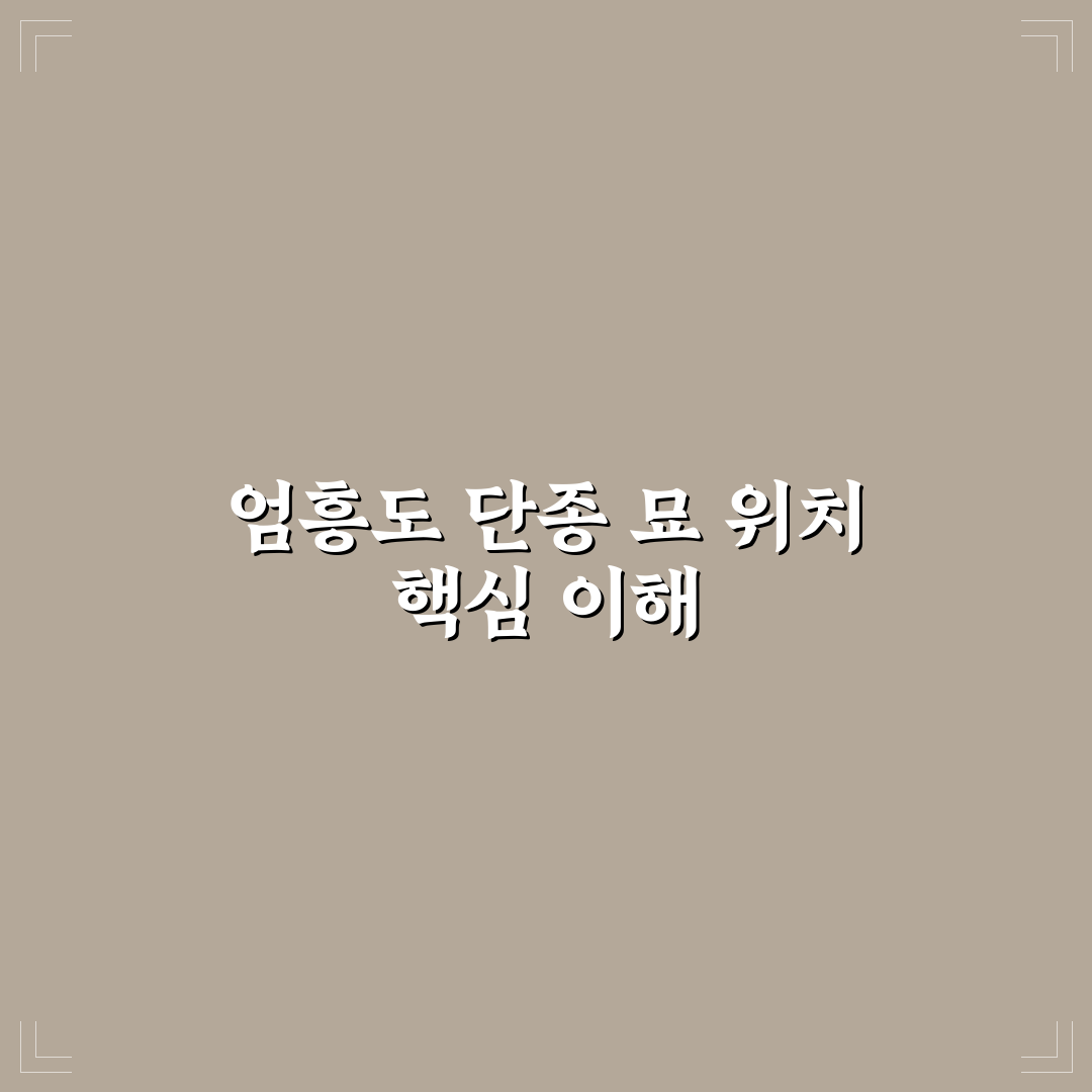 엄흥도 단종 묘 위치 비교와 역사적 의미 분석 가이드