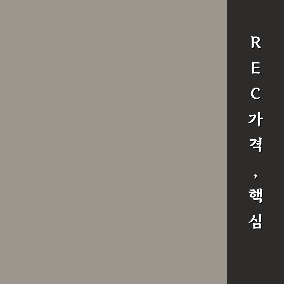 rec 가격 조회 비교와 분석을 통한 합리적 구매 가이드
