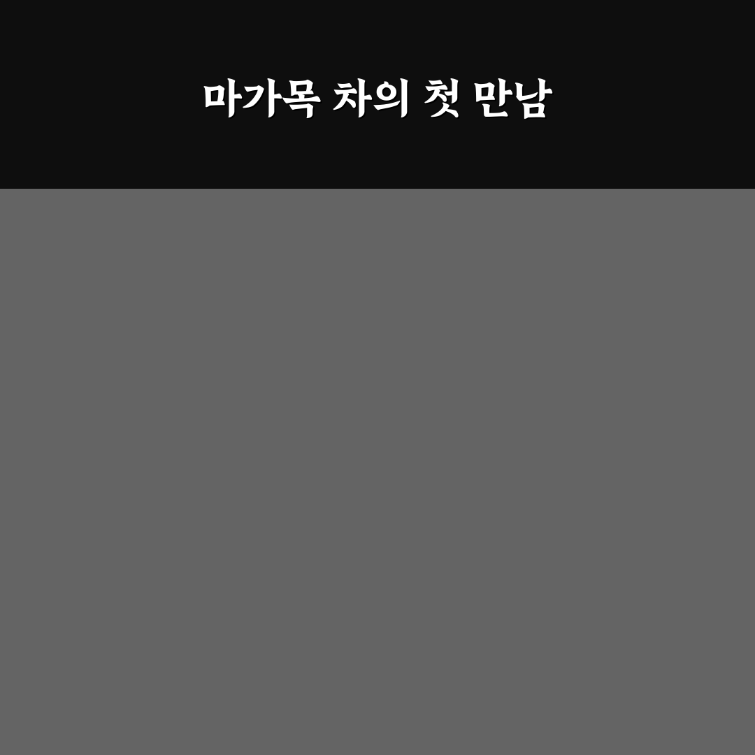 마가목 물끓이는방법 직접 해보니 알게 된 팁들