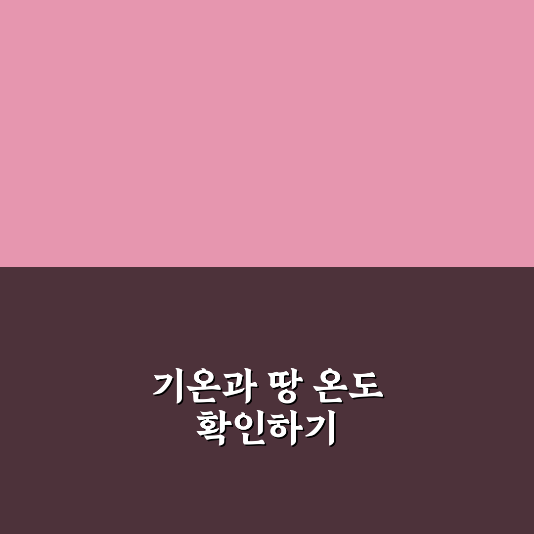 참외 모종 심는 시기와 조건별 5가지 체크포인트 분석